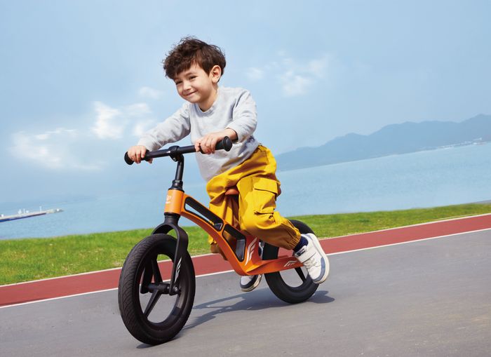 Hape Explorer Balance Bike